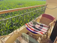 Nubian-style One-Bedroom Apartment! A walk from the Nile and the public ferry