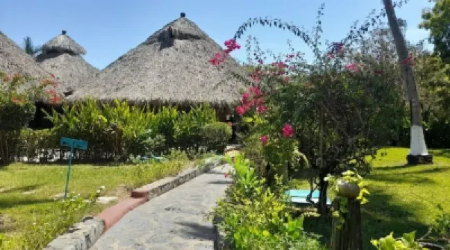 Sol y Mar. Delfines Hotels in 