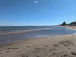 Little Can in the Pines - Bunkie No. 1