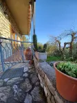 Verde Mare apartment with sea view surrounded by ancient olive trees animals allowed