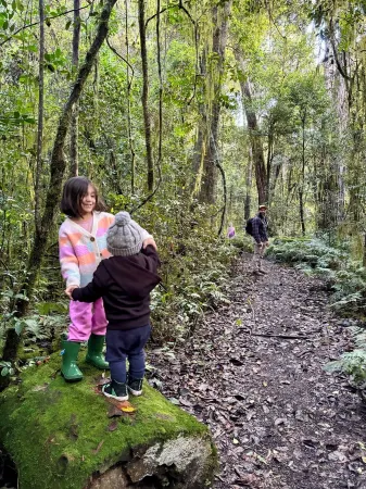 Treetops - Your Rainforest RetreatSurround yourself with nature. Отели в г. Дангог