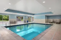 Holiday Inn Express & Suites BUFORD – MALL OF GEORGIA Hotels in Buford
