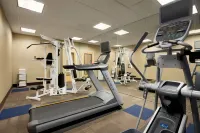 舒適酒店及套房-總統套房 - 健身室/gym room
