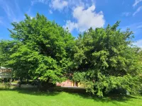 House in Pistoia with Pool and Nature Views