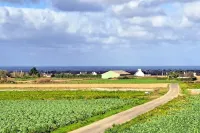 Holiday Home in Brittany with Sea View