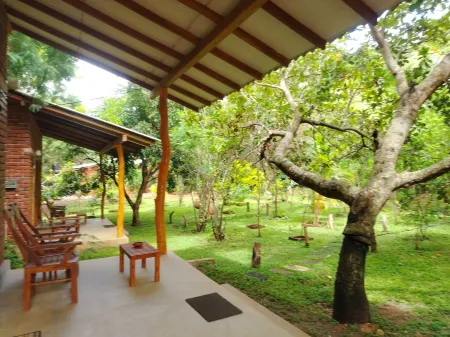 Wilpattu Wild Villa Отели в г. Сольявева