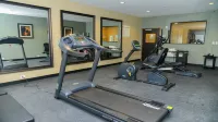 Holiday Inn Express & Suites CUERO by IHG - Gym