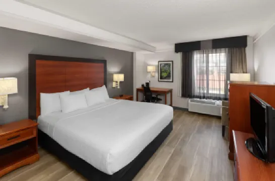 La Quinta Inn & Suites by Wyndham San Antonio Airport ノーススター・モール周辺のホテル