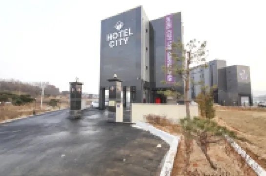 City Hotel Hotels in 