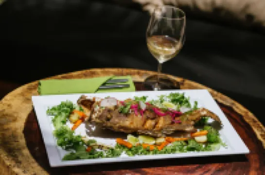 Tago Tulum by G Hotels