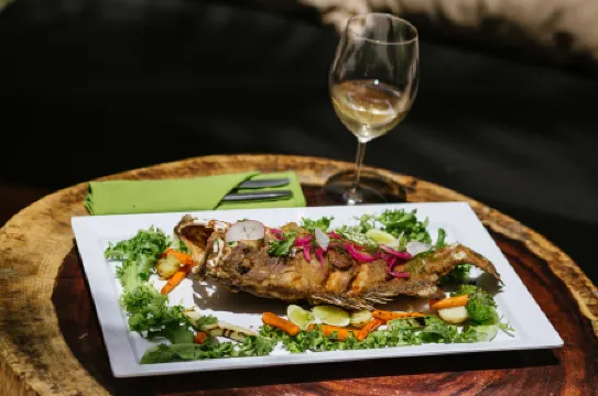 Tago Tulum by G Hotels