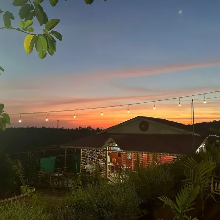 The Alphonso Mango County