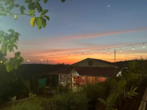 The Alphonso Mango County
