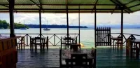 The Sea Monkey - WiFi