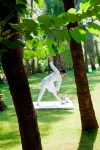 Goa Marriott Resort & Spa - Gym