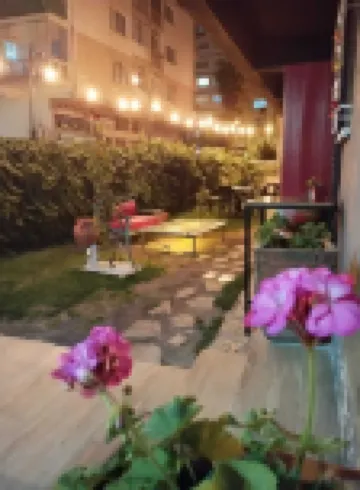 ROTA GEZGİN PANSİYON Hotels in 