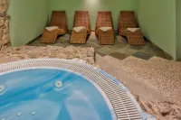 Ellex Eco Hotel - spa