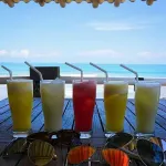 77 Sunset Plaza - bar