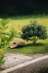Oar Cottage