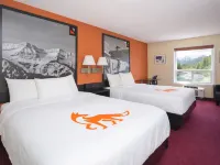 Fernie Fox Hotel Hotels in Fernie