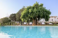 Masseria Il Vignale - piscina