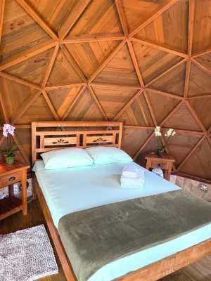 Domo Paramita Hotels in 