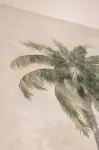 Alcaré Rooms Cartagena - 2 estrellas