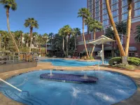 Treasure Island TI Las Vegas - Handwritten Collection - Kolam Renang