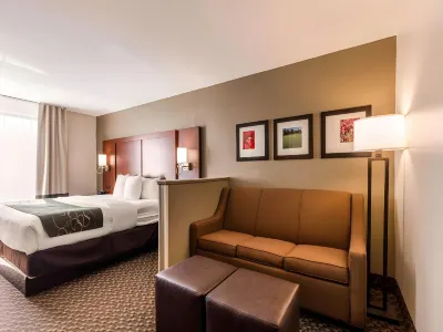 Comfort Suites Tuscaloosa Near University Hotel a 