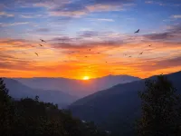Summer Hill Resort Hotels in Chail