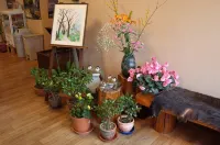 Sakamaki Onsen Kawatsuya - 2 звезды