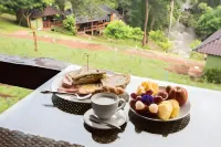 Chiang Mai Elephant Friends - Morgenmad