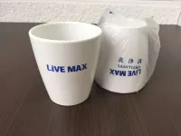 HOTEL LiVEMAX BUDGET Kitafuchu Hotels in Fuchu