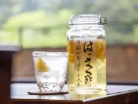 Shikanoyu Hotel - bar