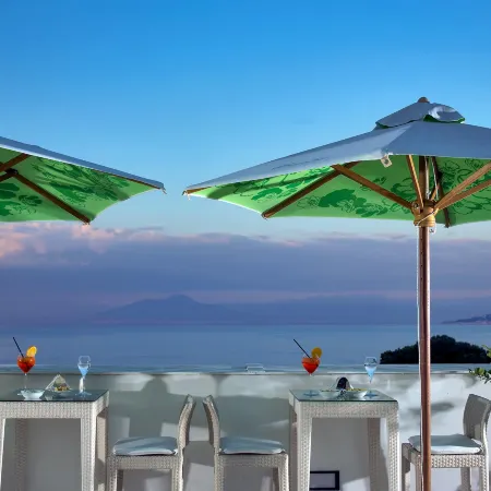 Luxury Villa Excelsior