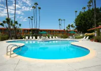 Vagabond Inn Costa Mesa - Swimmingpools