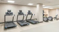 Hilton Garden Inn Flint Downtown - Pet friendly