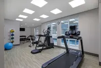 Homewood Suites by Hilton London Ontario - Gym