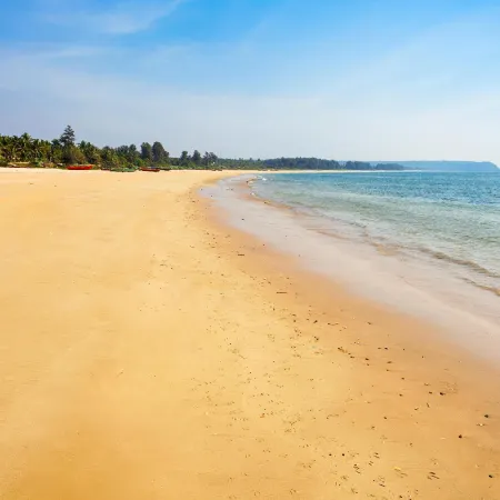 Majestic Beach Comforts