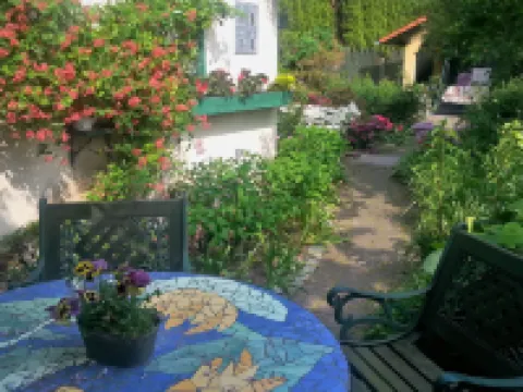 Apartment under Cedar Hotels in Wroclawski