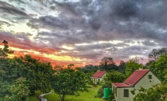 a beautiful sunset over a lush green field with trees and buildings in the background at Forest Edge