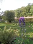 Les gîtes Insolites de l'Etang d'Anty Hotel di Saint-Nabord