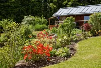 Cute Apartment Right at the Forest Hotels in Spiegelau