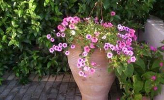 a large clay pot filled with pink flowers on a patio , surrounded by green plants at Milos Apartments
