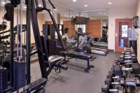 Holiday Inn Express & Suites El Centro by IHG - Træningscentre