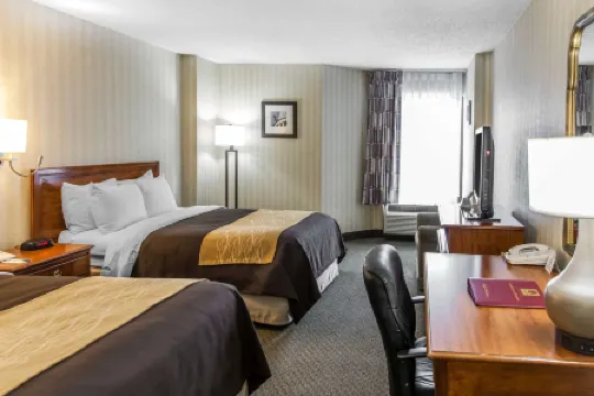 컴포트 인 펜타곤