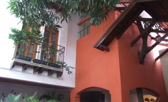 Hotel Casa del Arbol