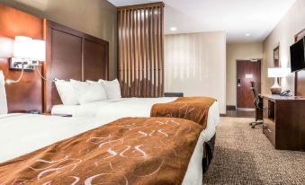 Comfort Suites Florence - Cincinnati South
