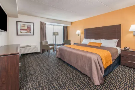 Ramada Plaza by Wyndham Niagara Falls