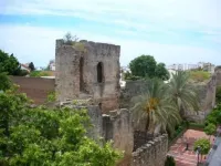 Don Alfredo Hotels in Marbella